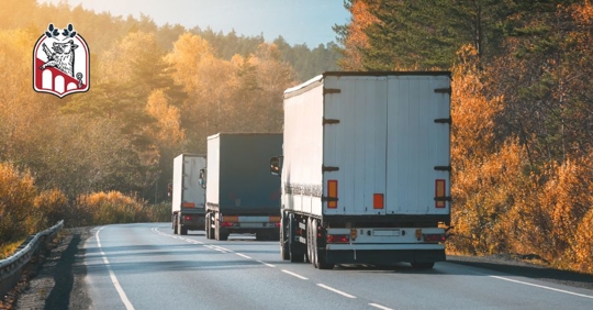 truck on roads during autumn